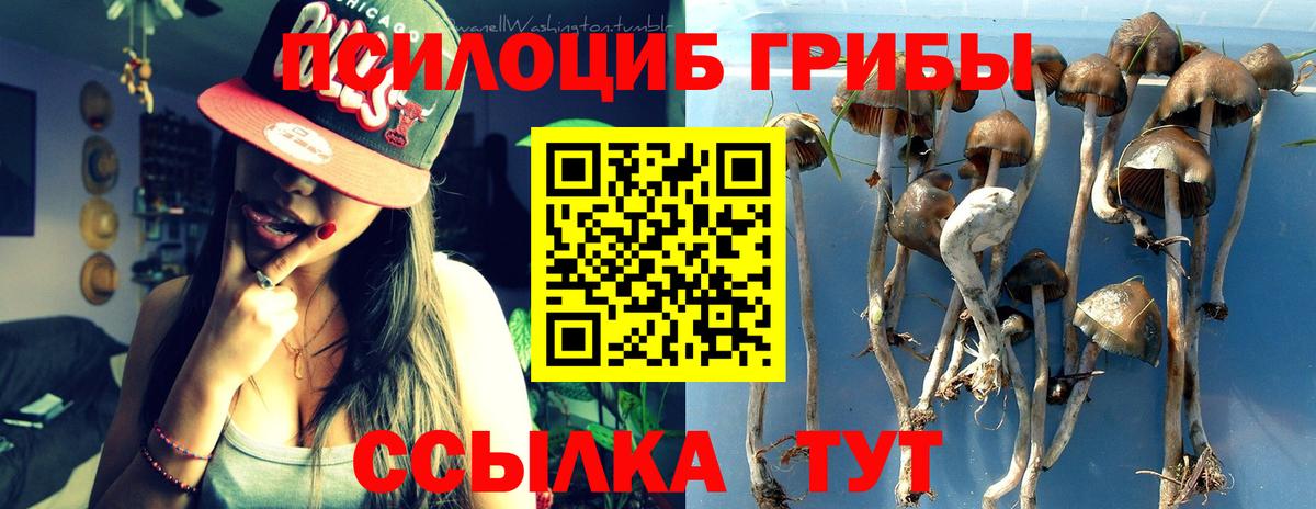 где найти   Вход с VPN  Сафоново  Галлюциногенные грибы мухоморы 